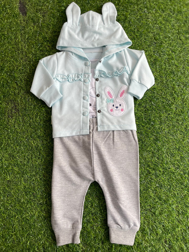 N768-Baby Dress