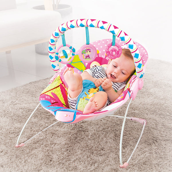 Mastela Soothing Vibration Bouncer 6750